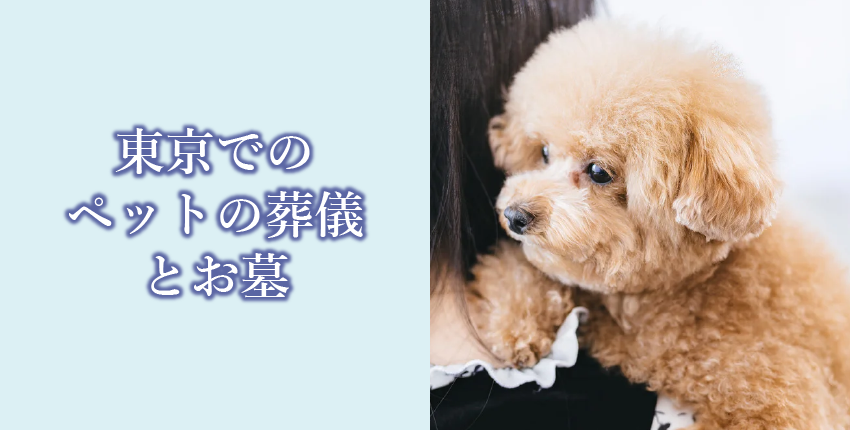 デジタル終活をご存じですか？デジタル終活とは何か、必要になった背景、デジタル遺品の種類、やるべきことを解説！
